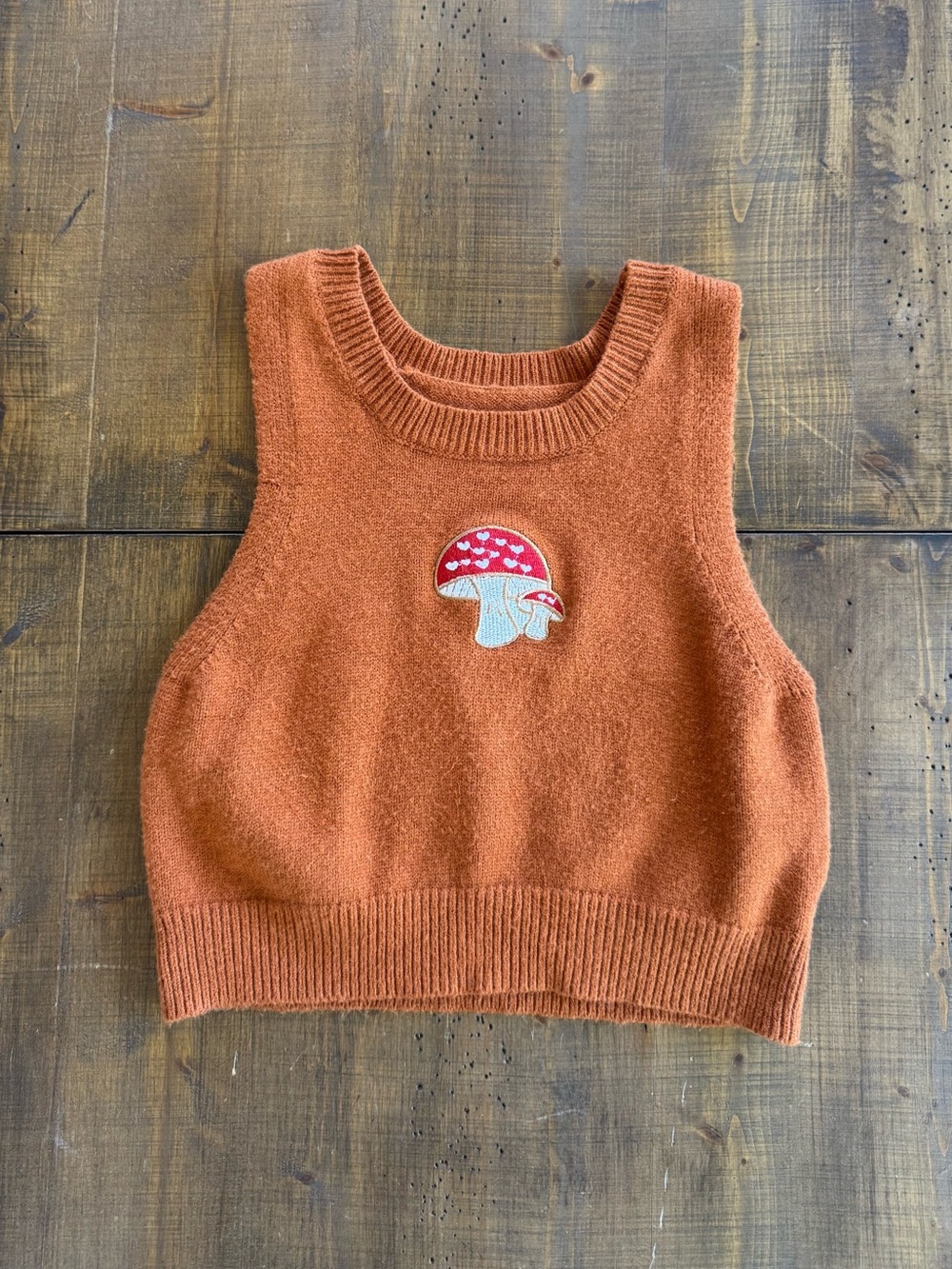 Rust Orange Knit Crop Sweater Vest with Mushroom Patch